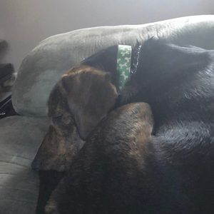 Meet your Posher, Cheryl